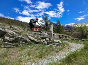 VTT de descente VTT de descente